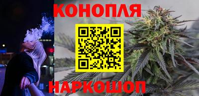 твердый Бийск
