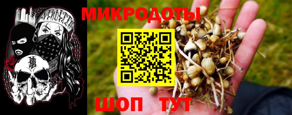 Галлюциногенные грибы мухоморы Знаменск