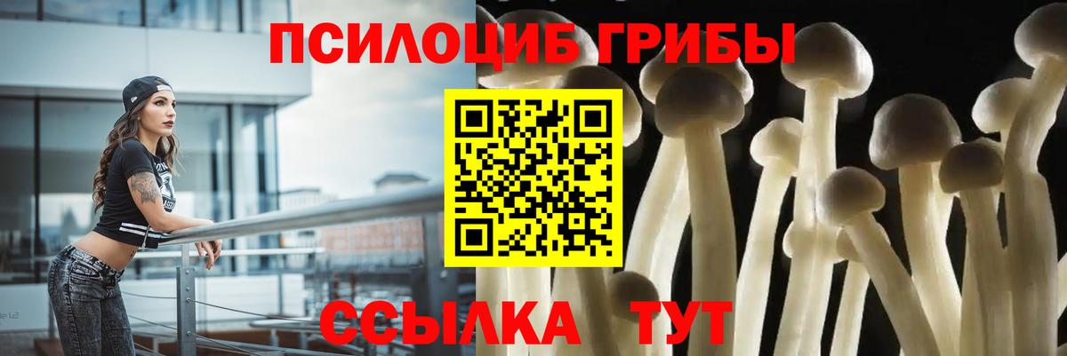 Знаменск  Псилоцибиновые грибы MAGIC MUSHROOMS  Галлюциногенные грибы ЛСД  Вход с VPN 